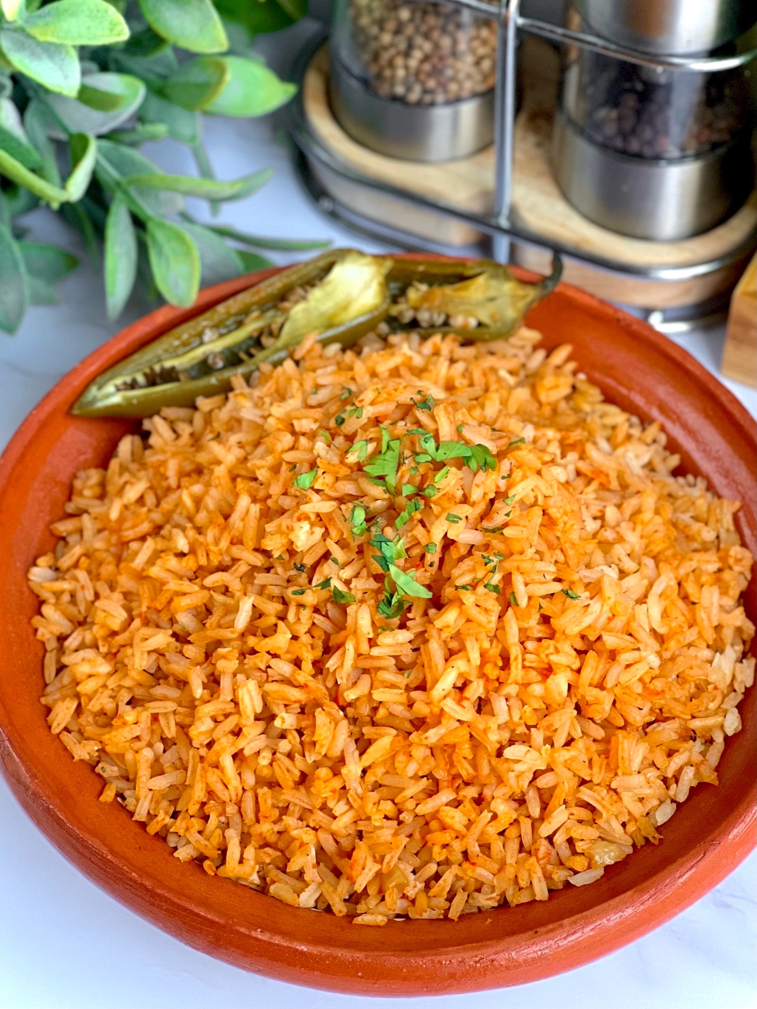 Perfect Clay Pot Rice - Full of Plants