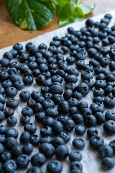 Blueberry Cheong (Korean Syrup) - Stellanspice