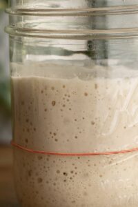 Close-up of a glass jar containing bubbling sourdough starter, with a rubber band around the jars middle. The jars texture shows a frothy surface and bubbles, with a line of demarcation indicating the starter has passed its peak and is beginning to fall back down.