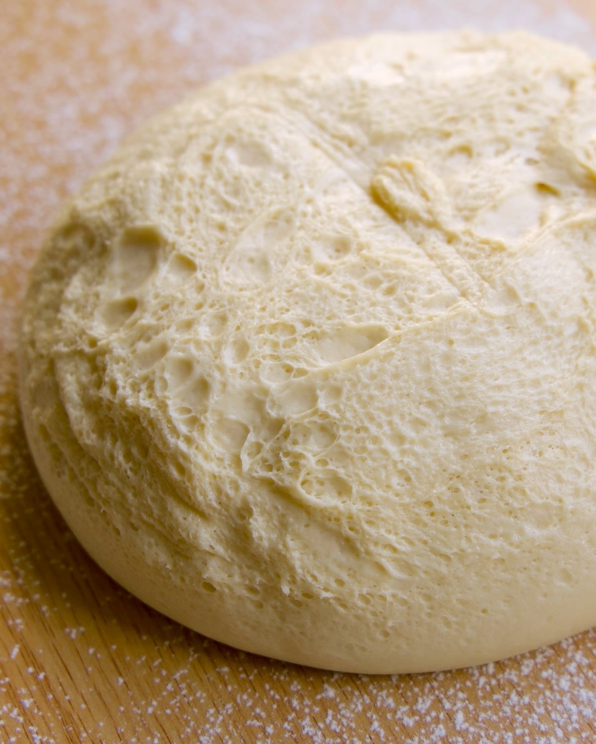 fermented, pillowy dough turned out on a lightly floured surface