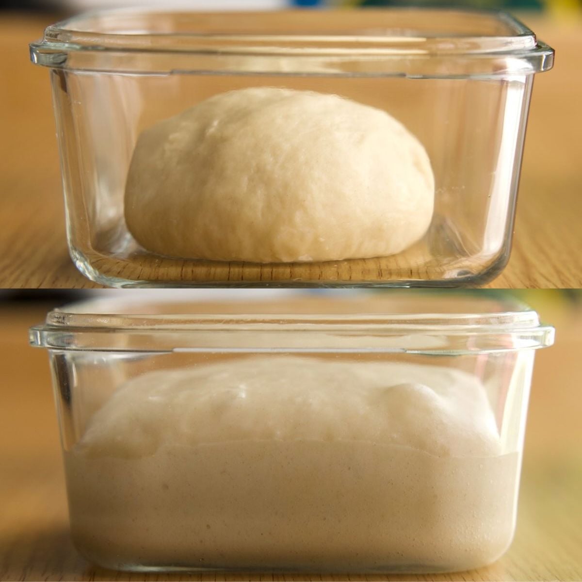 sweet stiff starter before and after (doubled in size)